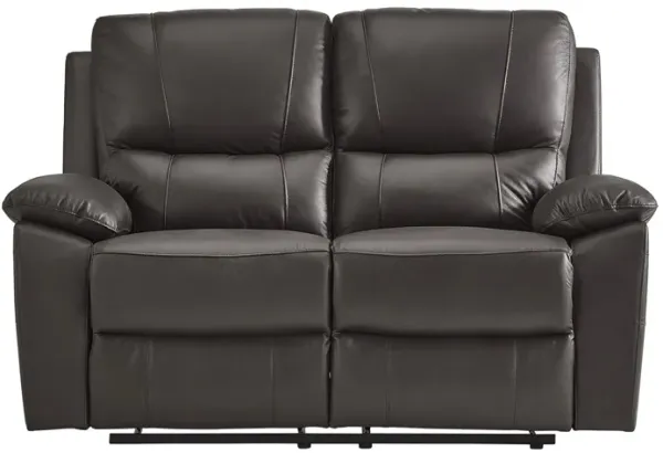 Delara Double Reclining Love Seat