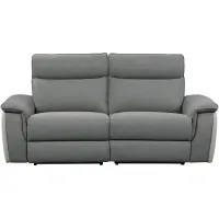 Ashton Power Double Reclining Love Seat w/Power Headrests in 2-Tone Gray by Homelegance