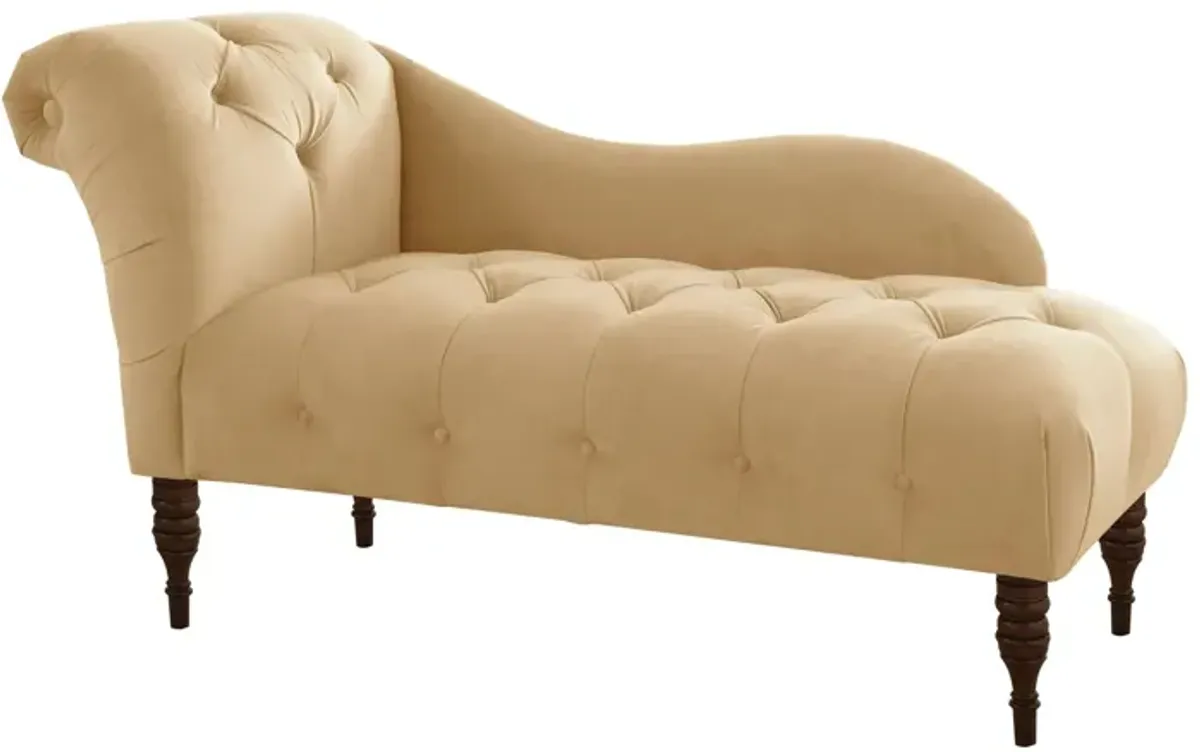 Opulence Chaise Lounge in Velvet Buckwheat by Skyline