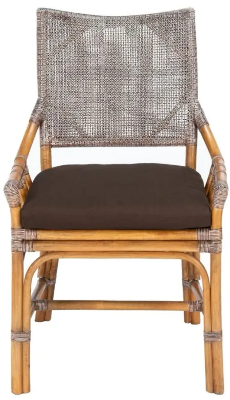 Donatella Chair in DARK BROWN by Safavieh
