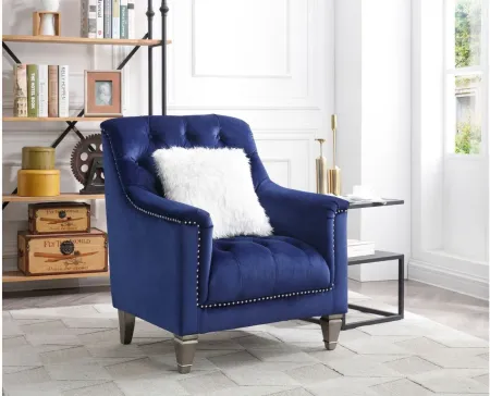 Dania Chair in Navy Blue by Glory Furniture