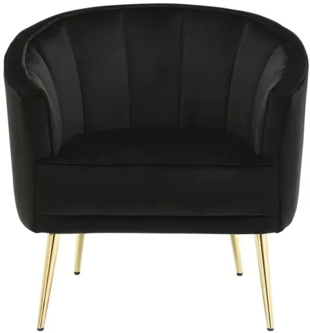 Tania Accent Chair in Black by Lumisource