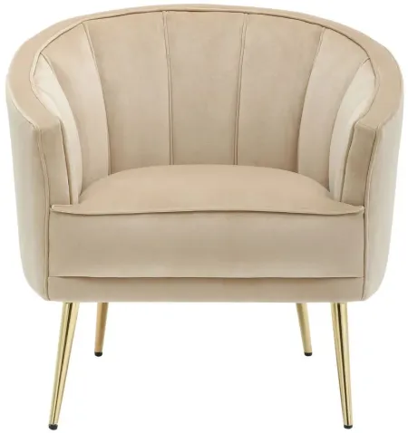 Tania Accent Chair in Champagne by Lumisource