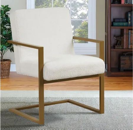 Sydney Chair in Cream by Lifestyle Solutions
