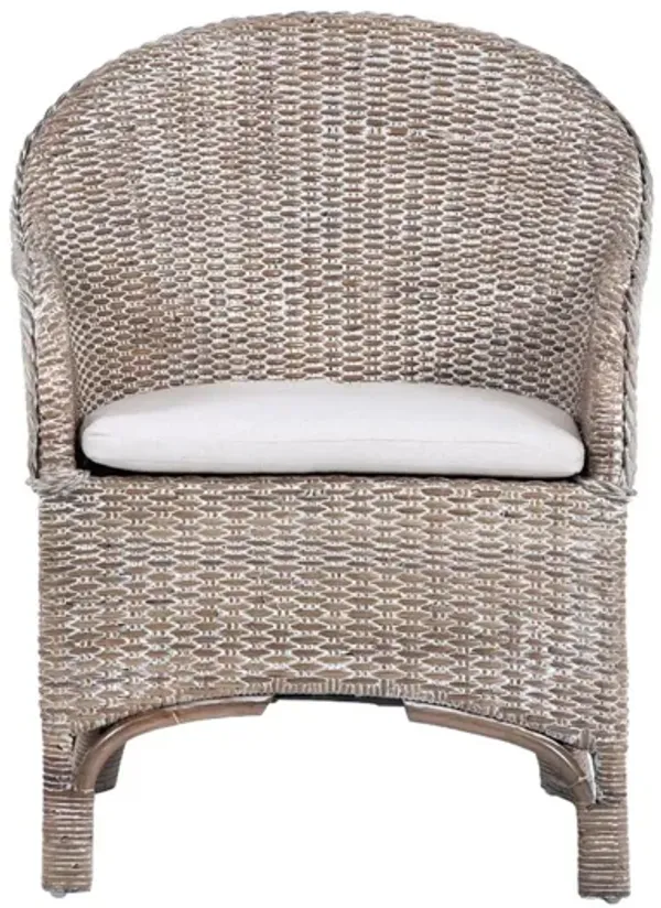Antonia Accent Chair W/Cushion