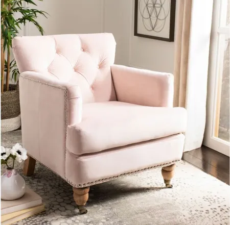 Colin Club Chair in Pink by Safavieh