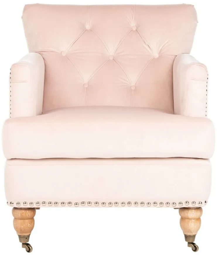 Colin Club Chair in Pink by Safavieh