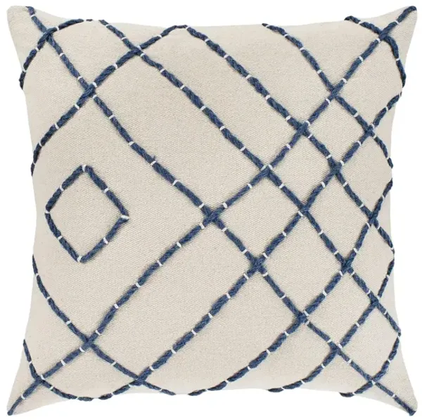 Emilio 20" Down Throw Pillow