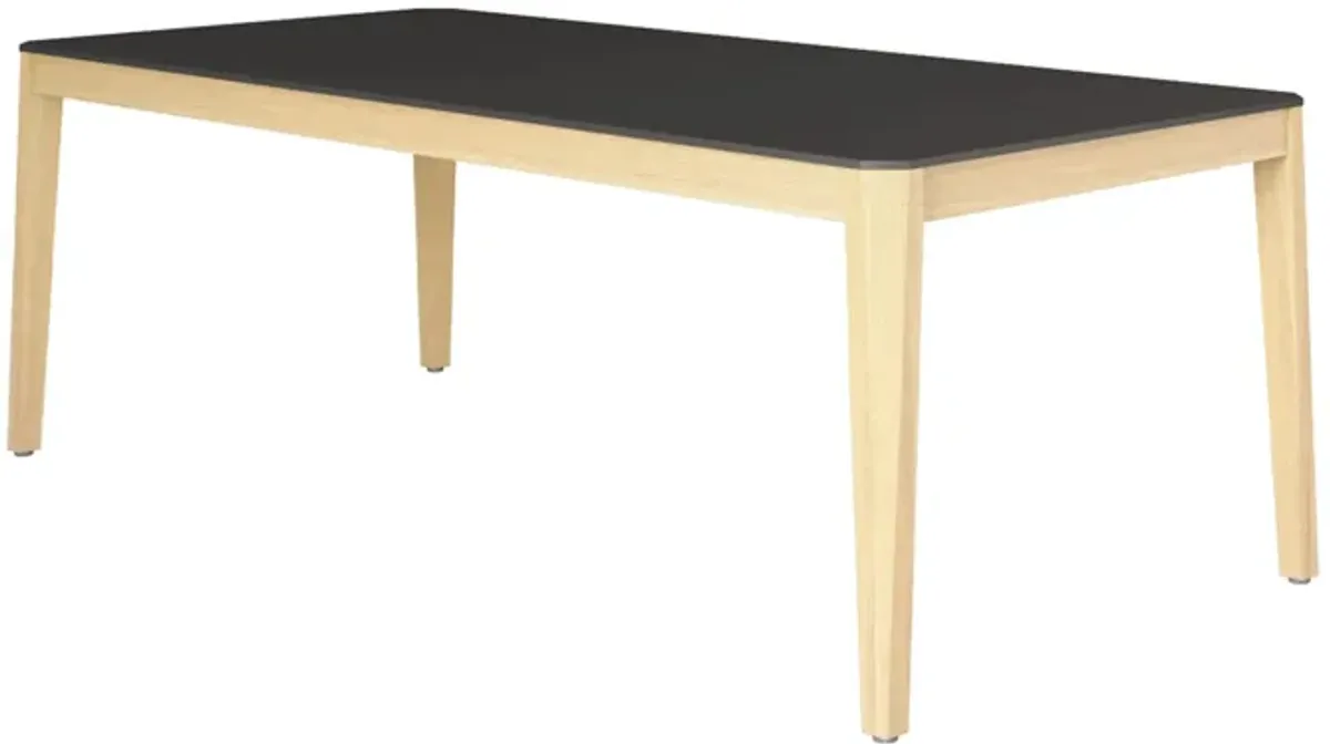 Amazonia Big Outdoor Dining Table in Black by International Home Miami