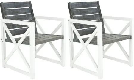 Bertie Outdoor Armchair - Set of 2 in Taupe Stripes by Safavieh