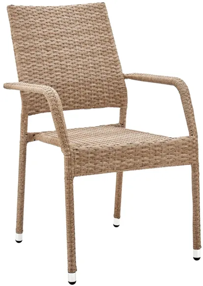 Alinsky Outdoor Patio Dining Armchair in Tobacco by Manhattan Comfort