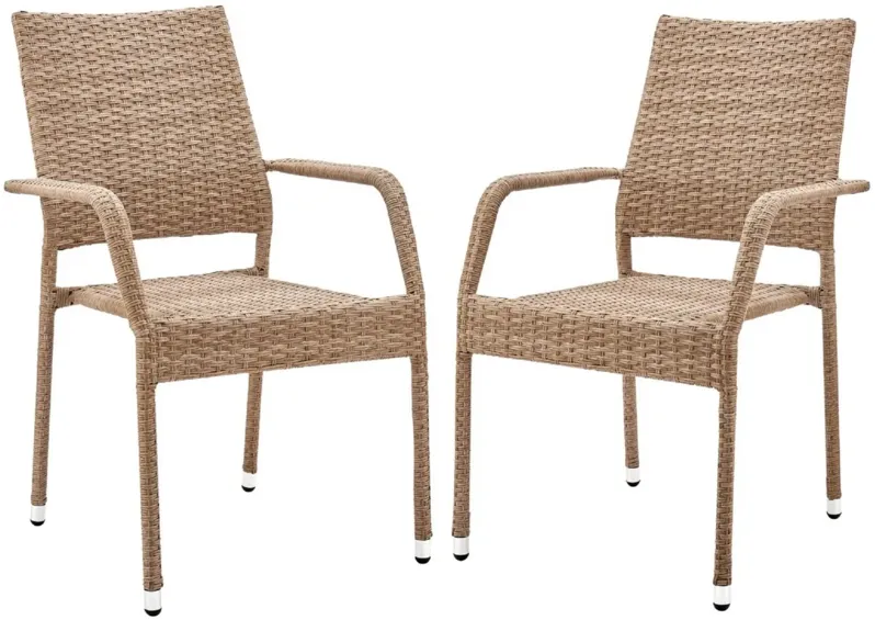 Alinsky Outdoor Patio Dining Armchair - Set of 2 in Sandstone by Manhattan Comfort