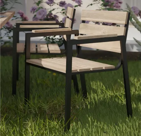 Straton Outdoor Dining Chairs- Set of 2 in Natural by SEI Furniture