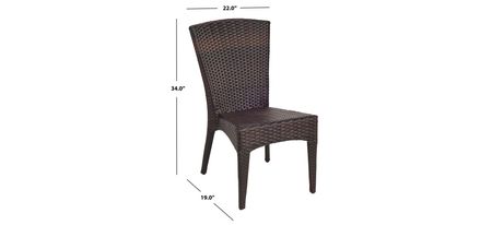 Holden Outdoor Wicker Side Chair in Gray Brown / White by Safavieh