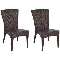Holden Outdoor Wicker Side Chair in Gray Brown / White by Safavieh