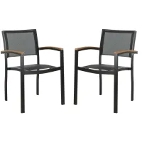 Diona Stackable Chair in Black / Brown by Safavieh
