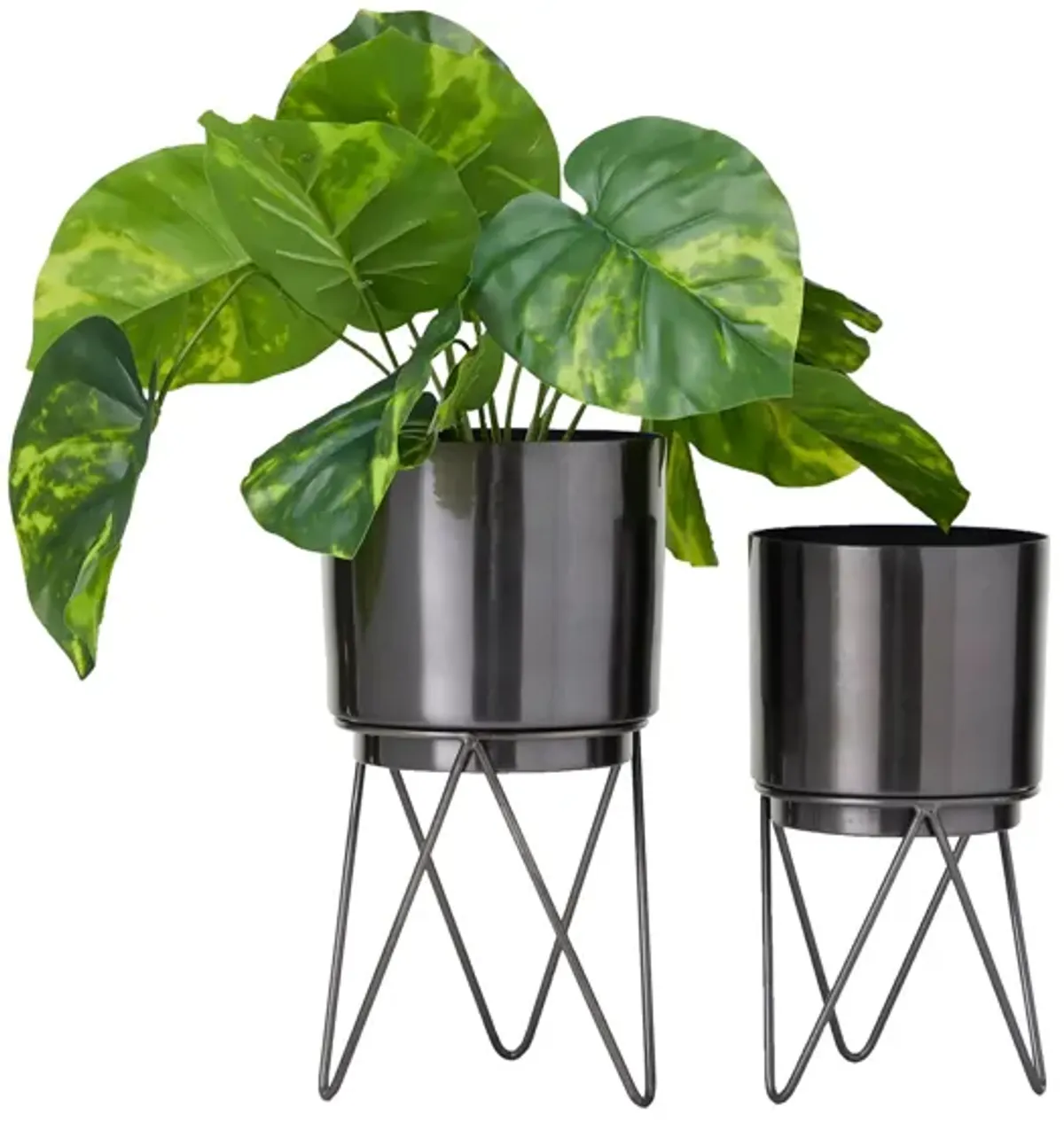 CosmoLiving Haukr Planter Set of 2 in Black by UMA Enterprises