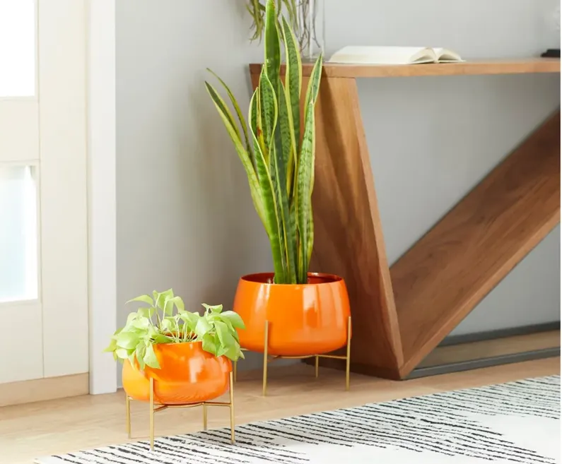 Ivy Collection Usagi Planter Set of 2 in Orange by UMA Enterprises