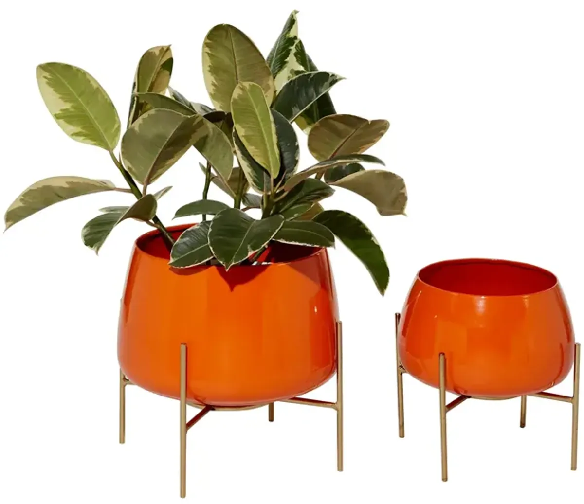 Ivy Collection Usagi Planter Set of 2 in Orange by UMA Enterprises