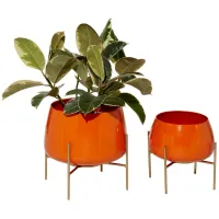 Ivy Collection Usagi Planter Set of 2 in Orange by UMA Enterprises