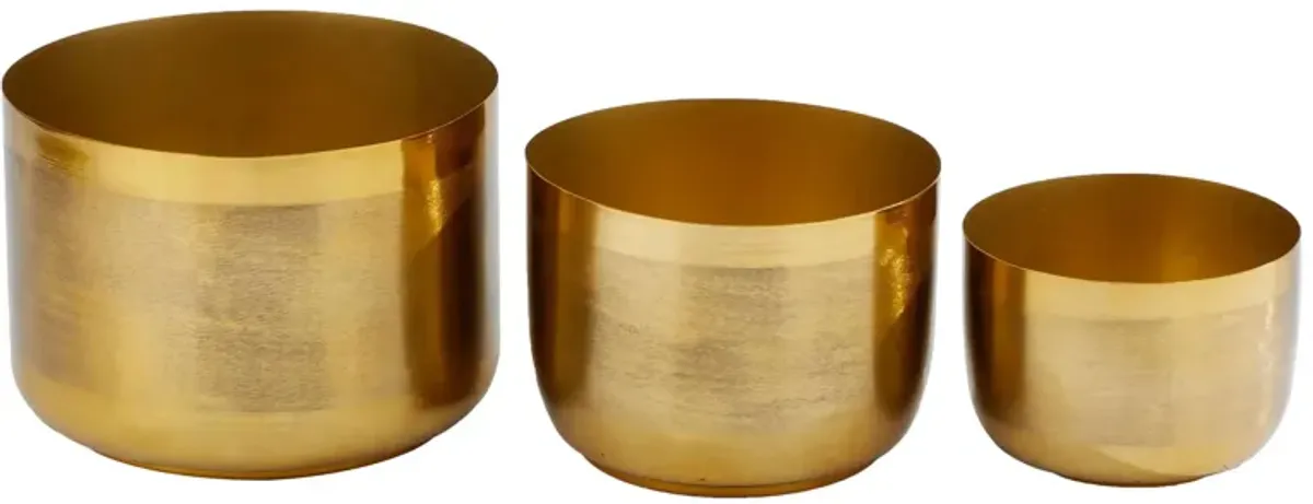 CosmoLiving Sleuther Planter Set of 3 in Gold by UMA Enterprises