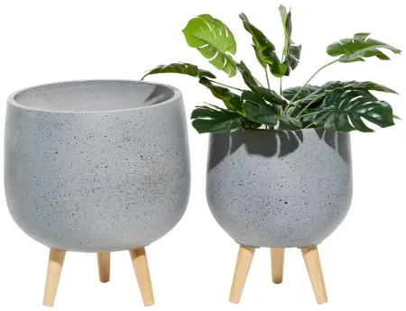 Ivy Collection Mispillion Planter Set of 2 in Gray by UMA Enterprises