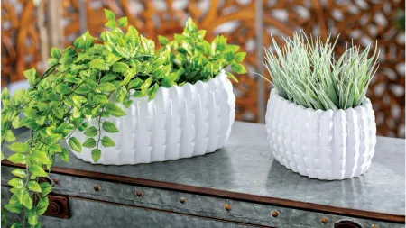 Ivy Collection Roubanese Planter Set of 3 in White by UMA Enterprises
