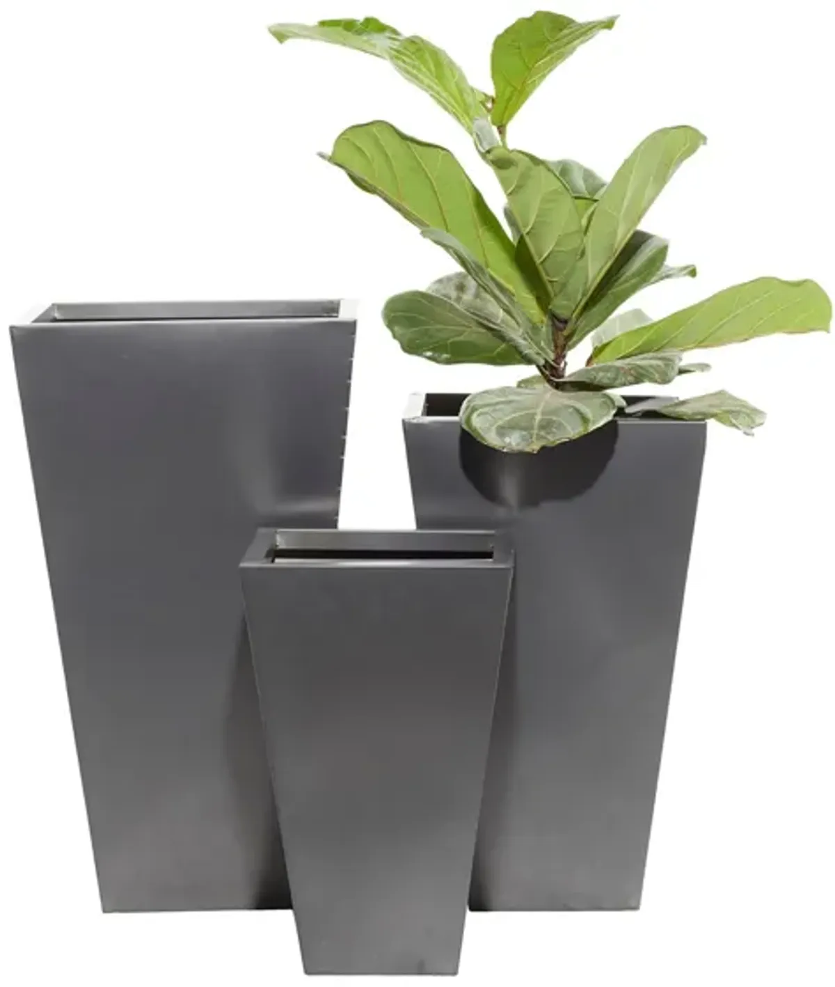 Ivy Collection Stellacopter Planter Set of 3 in Black by UMA Enterprises