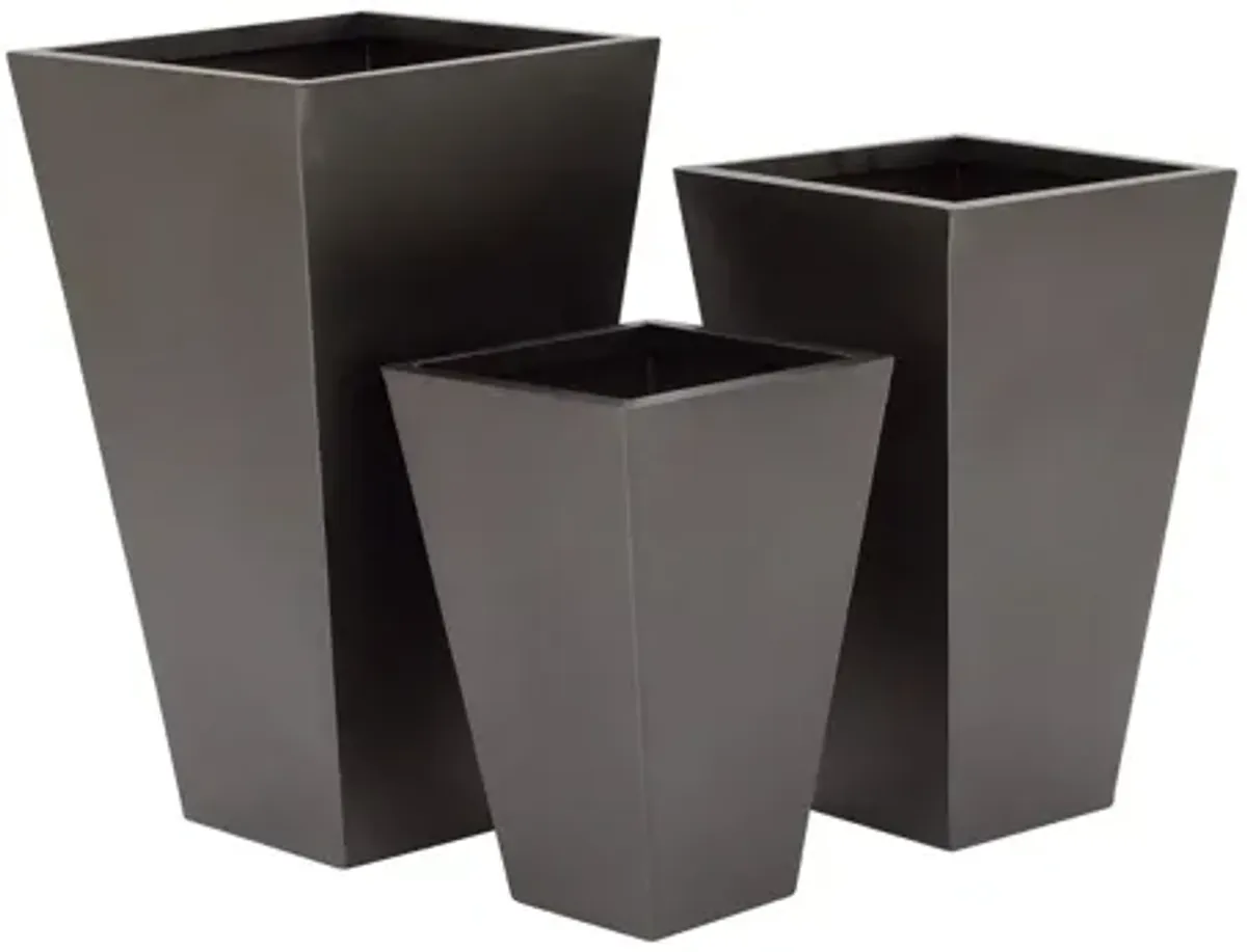 Ivy Collection Stellacopter Planter Set of 3