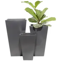 Ivy Collection Stellacopter Planter Set of 3 in Black by UMA Enterprises