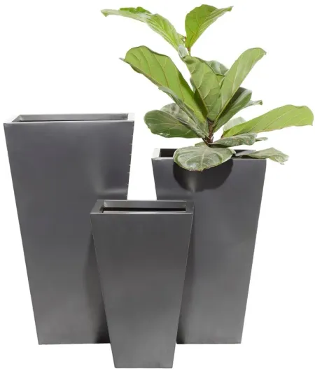 Ivy Collection Stellacopter Planter Set of 3 in Black by UMA Enterprises