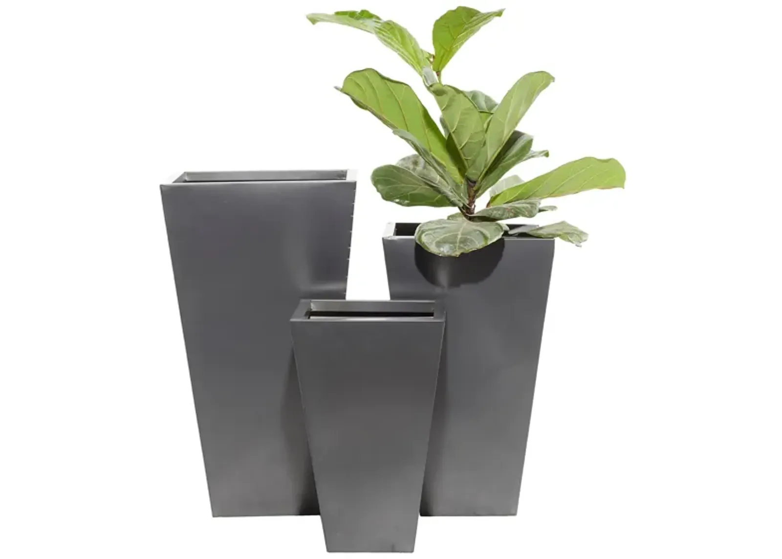 Ivy Collection Stellacopter Planter Set of 3 in Black by UMA Enterprises