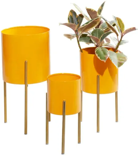 Ivy Collection Spritzy Planter Set of 3 in Yellow by UMA Enterprises