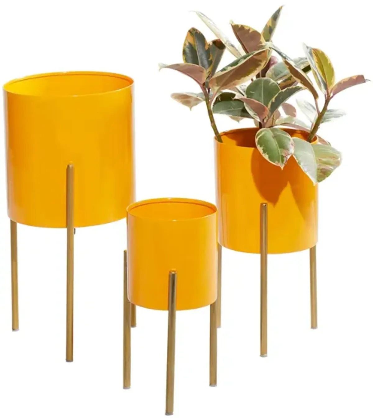 Ivy Collection Spritzy Planter Set of 3 in Yellow by UMA Enterprises