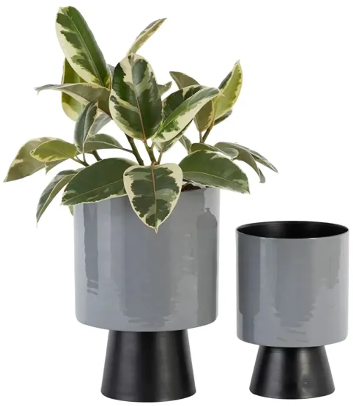 Ivy Collection Majorette Planter Set of 2