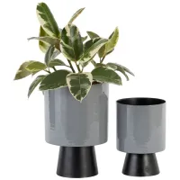 Ivy Collection Majorette Planter Set of 2 in Gray by UMA Enterprises