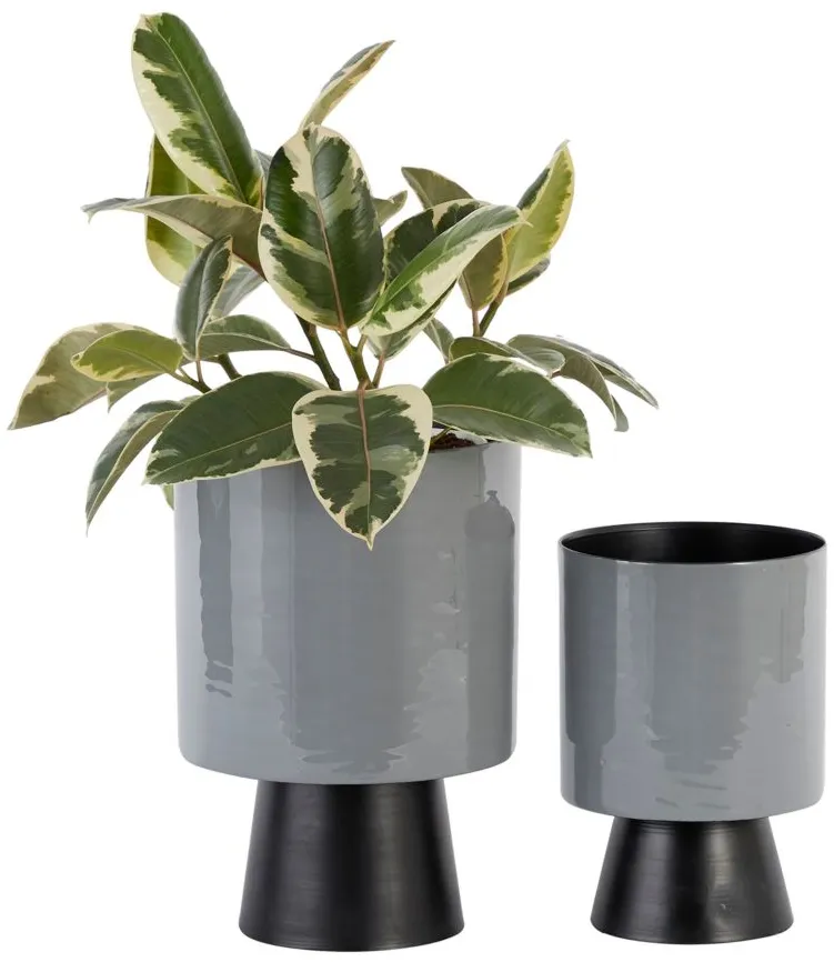Ivy Collection Majorette Planter Set of 2 in Gray by UMA Enterprises