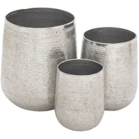 Ivy Collection Naturalistas Planter Set of 3 in Silver by UMA Enterprises