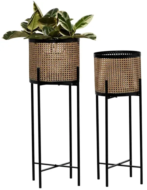 Ivy Collection Gold Metal Planter Set of 2