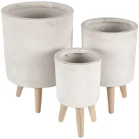 Ivy Collection Alphabittle Planter Set of 3 in White by UMA Enterprises