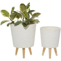 Ivy Collection Galeras Planter - Set of 2 in White by UMA Enterprises