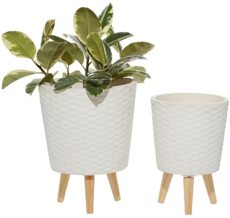 Ivy Collection Galeras Planter - Set of 2 in White by UMA Enterprises