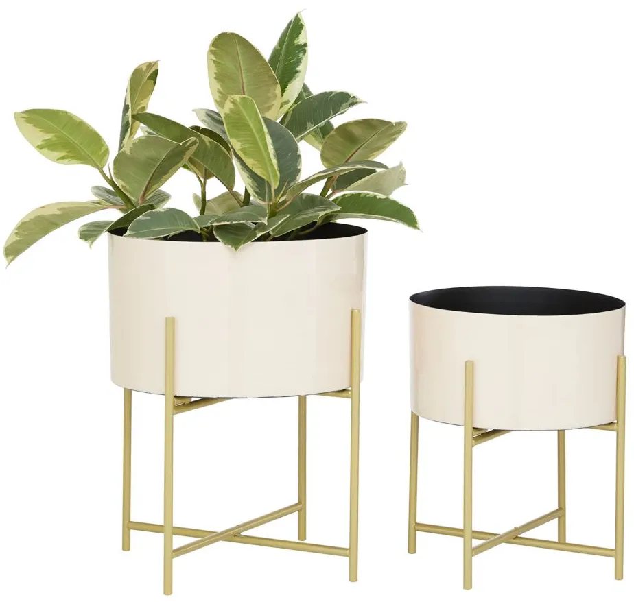 Ivy Collection Chalyna Planter Set of 2 in White by UMA Enterprises