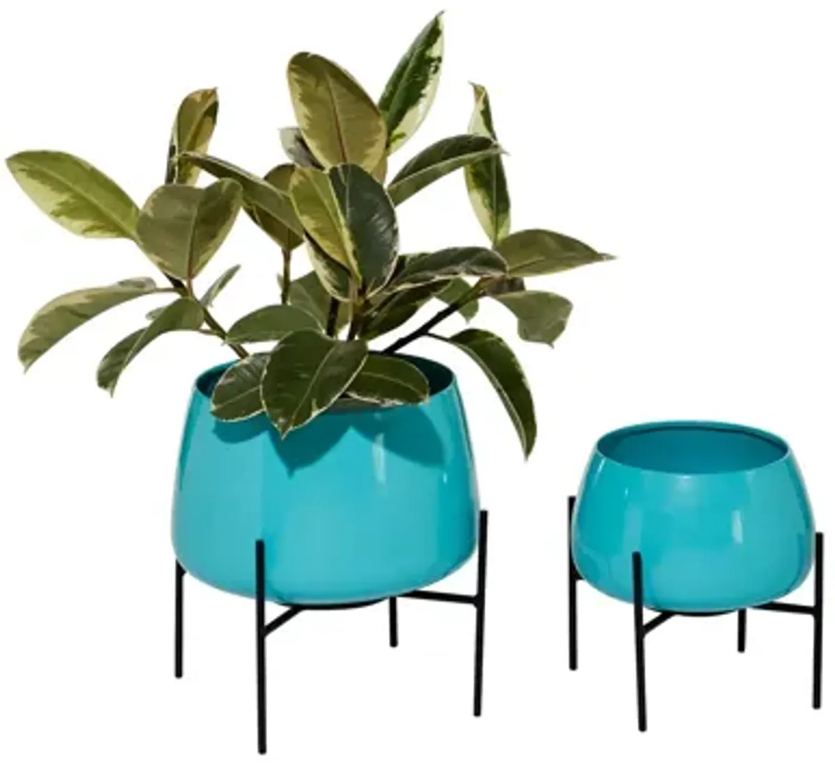 Ivy Collection Usagi Planter Set of 2