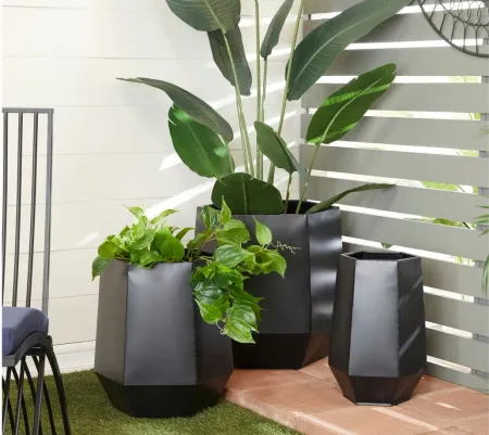 Ivy Collection Marchenkind Planter: Set of 3 in Black by UMA Enterprises