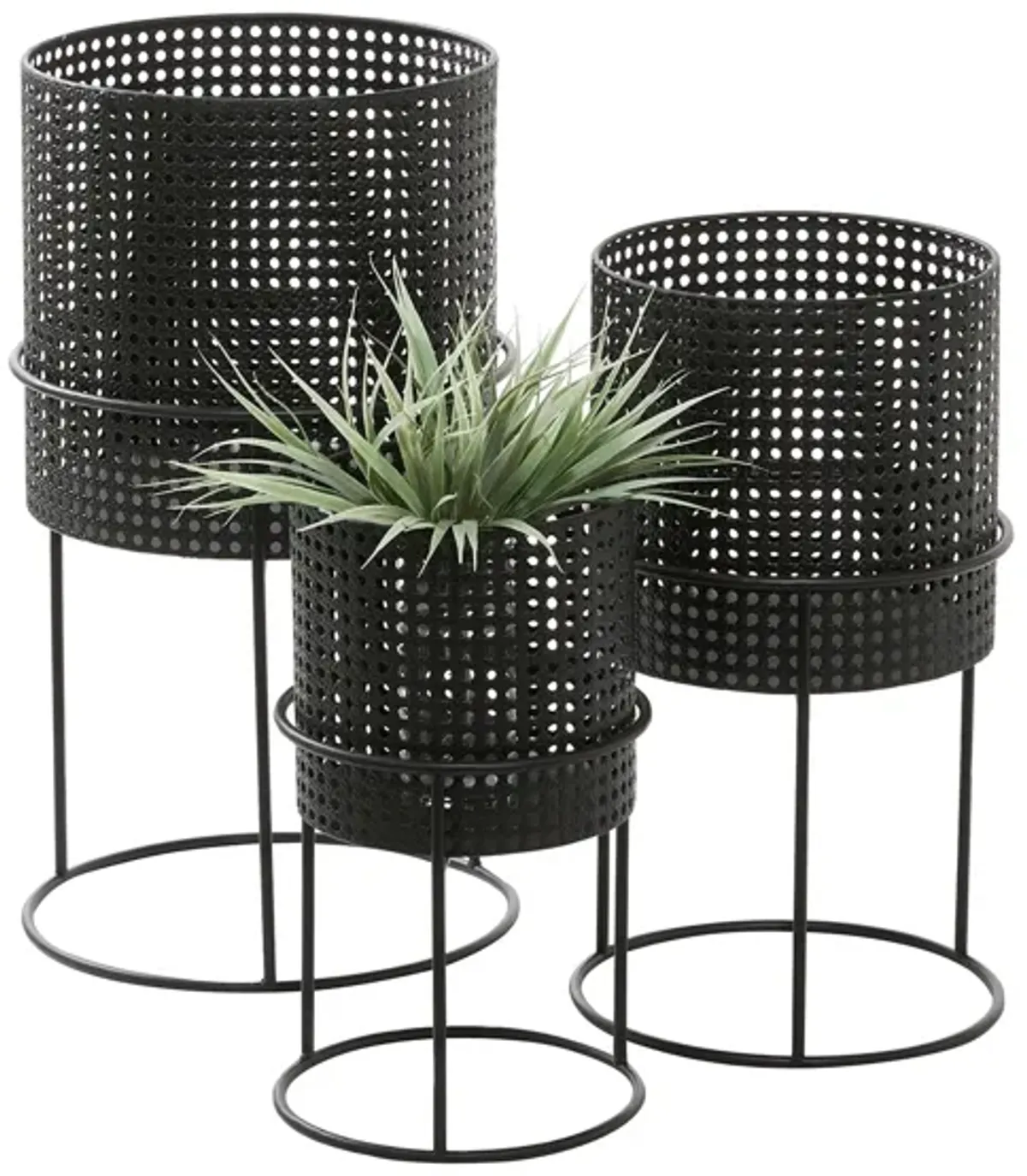 Ivy Collection Trailblazer Planter Set of 3 in Black by UMA Enterprises