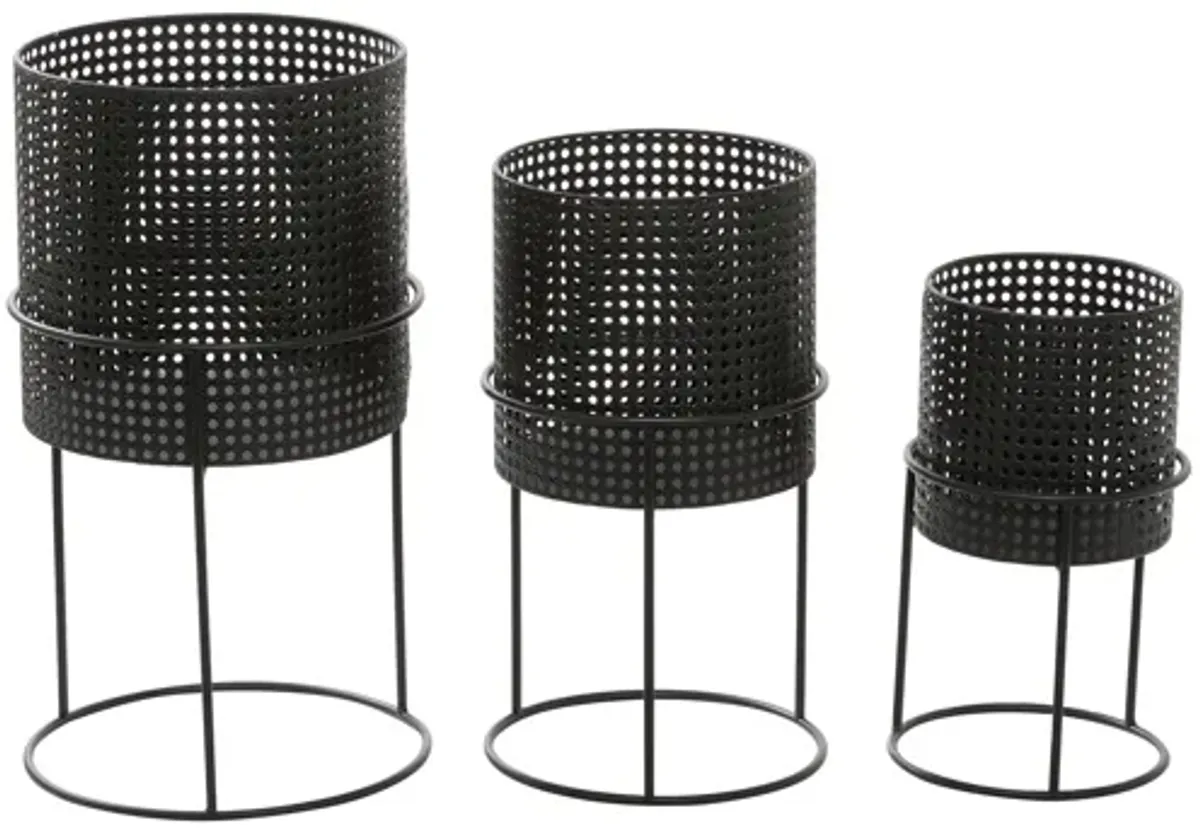 Ivy Collection Trailblazer Planter Set of 3