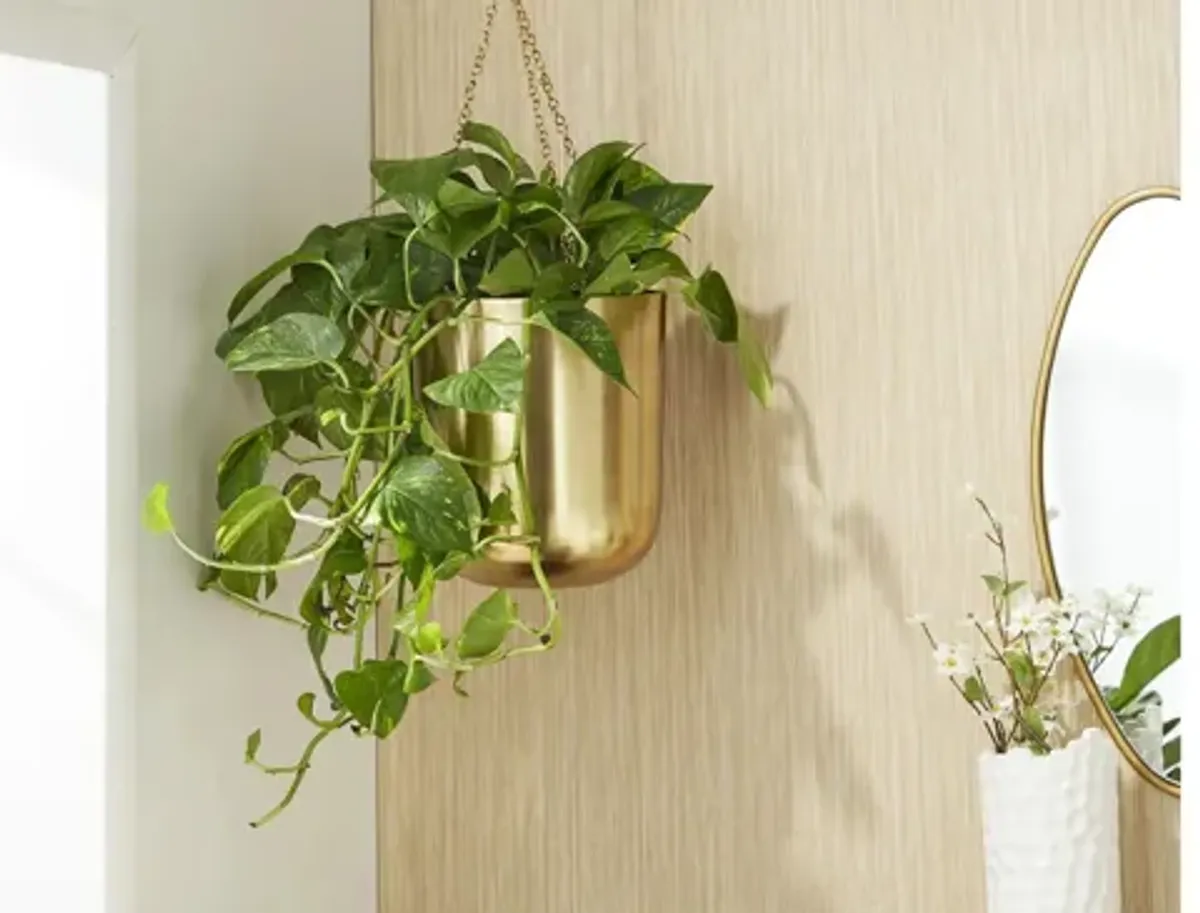 CosmoLiving Louisville Planter Set of 2