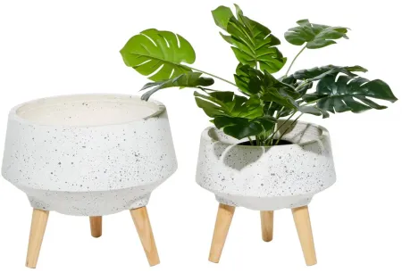 Ivy Collection Conductor Planter Set of 2 in White by UMA Enterprises