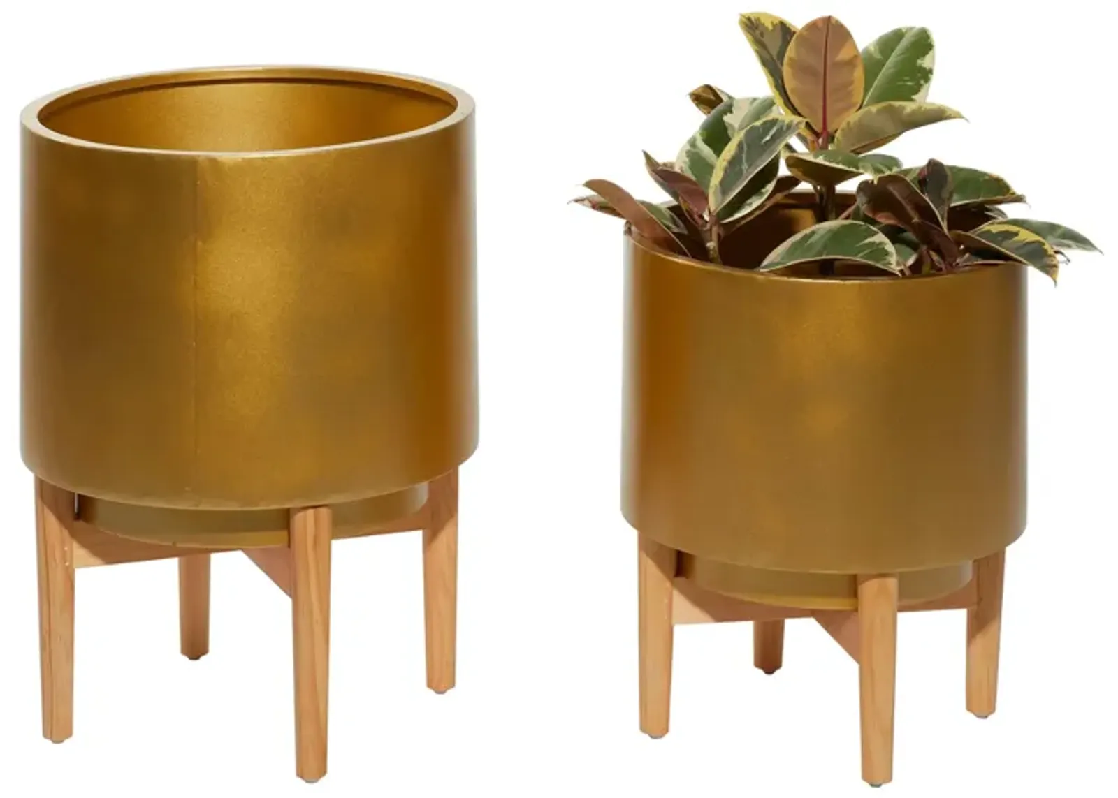 CosmoLiving Everafter Planter Set of 2 in Gold by UMA Enterprises